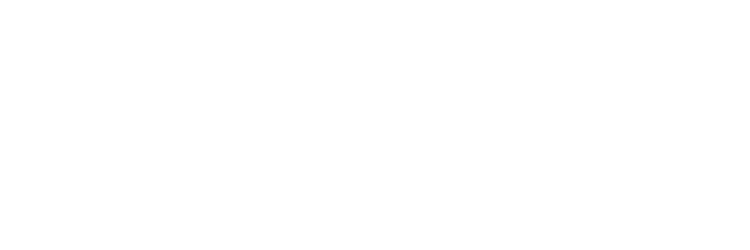 dms-logo-wht