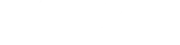 Autodesk Platinum Partner